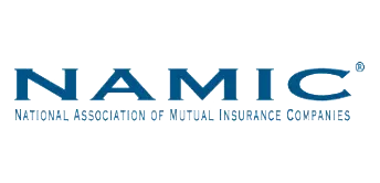 Majesco partner, Namic logo