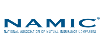NAMIC
